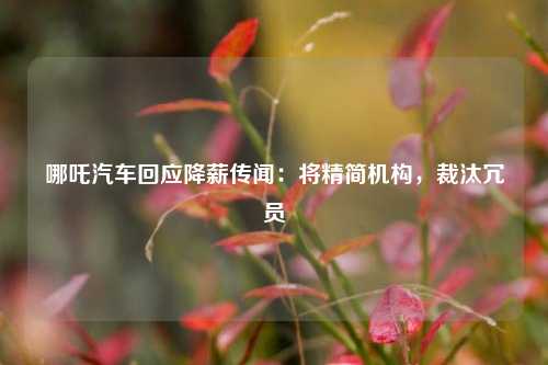 哪吒汽车回应降薪传闻：将精简机构，裁汰冗员