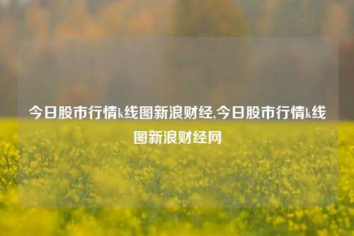 今日股市行情k线图新浪财经,今日股市行情k线图新浪财经网