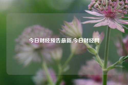 今日财经预告最新,今日财经网