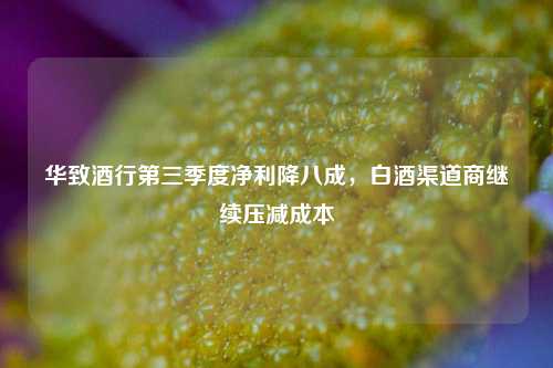 华致酒行第三季度净利降八成，白酒渠道商继续压减成本