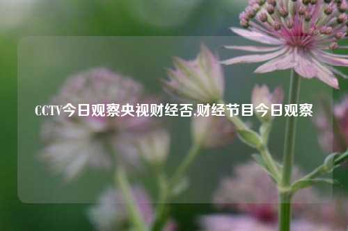 CCTV今日观察央视财经否,财经节目今日观察