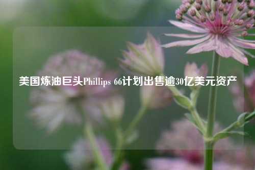 美国炼油巨头Phillips 66计划出售逾30亿美元资产