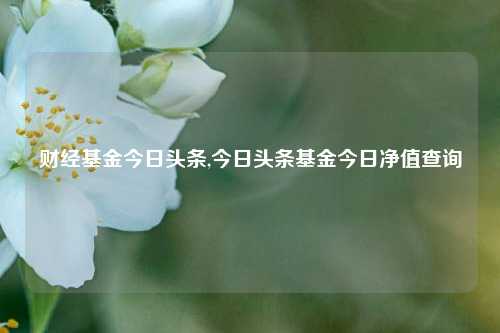 财经基金今日头条,今日头条基金今日净值查询