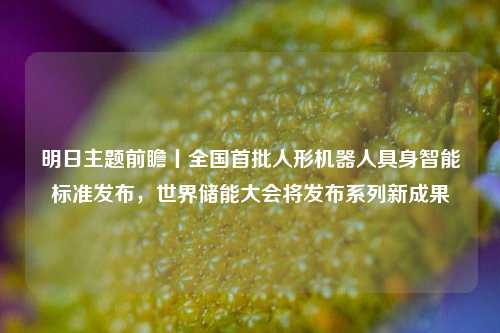 明日主题前瞻丨全国首批人形机器人具身智能标准发布，世界储能大会将发布系列新成果