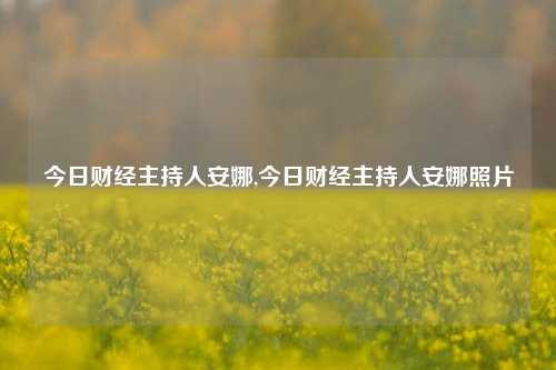 今日财经主持人安娜,今日财经主持人安娜照片