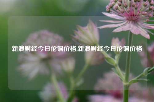 新浪财经今日伦铜价格,新浪财经今日伦铜价格