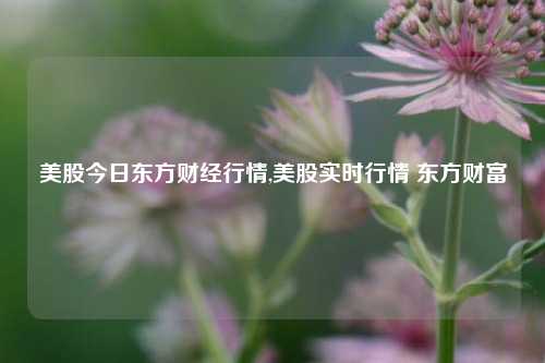 美股今日东方财经行情,美股实时行情 东方财富