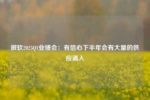 微软2025Q1业绩会：有信心下半年会有大量的供应涌入