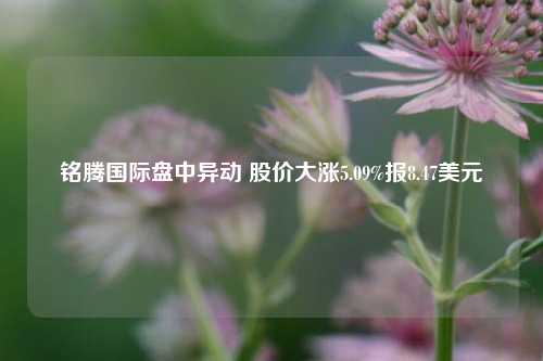 铭腾国际盘中异动 股价大涨5.09%报8.47美元