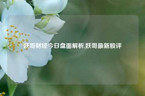 妖哥财经今日盘面解析,妖哥最新股评