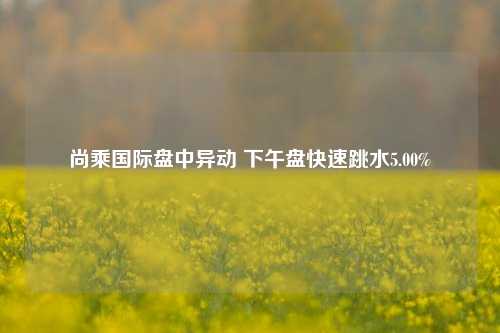 尚乘国际盘中异动 下午盘快速跳水5.00%