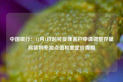 中国银行：11月1日起可受理客户申请调整存量房贷利率加点值和重定价周期