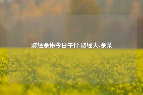 财经余伟今日午评,财经大v余某