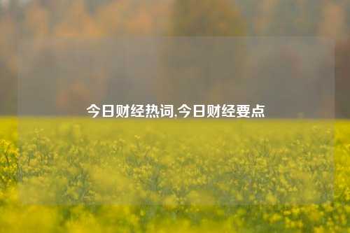 今日财经热词,今日财经要点