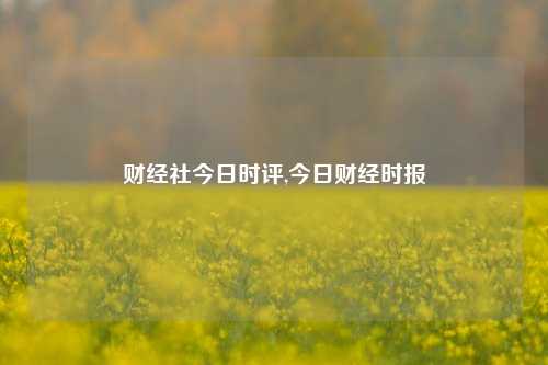 财经社今日时评,今日财经时报