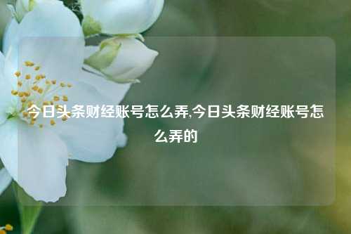 今日头条财经账号怎么弄,今日头条财经账号怎么弄的