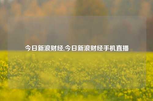 今日新浪财经,今日新浪财经手机直播