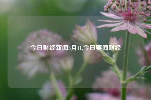 今日财经新闻3月11,今日要闻财经