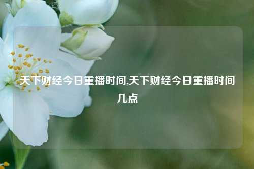 天下财经今日重播时间,天下财经今日重播时间几点