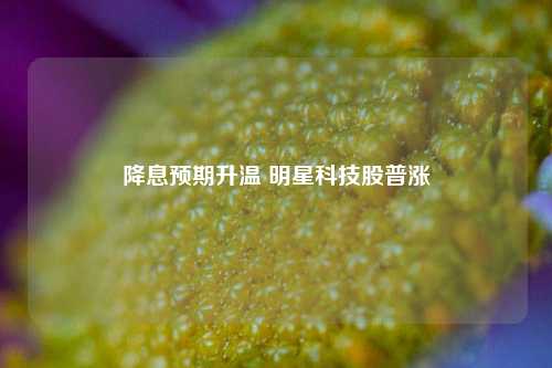 降息预期升温 明星科技股普涨