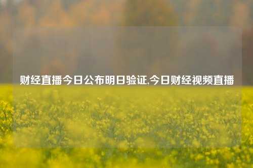 财经直播今日公布明日验证,今日财经视频直播