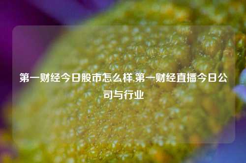 第一财经今日股市怎么样,第一财经直播今日公司与行业