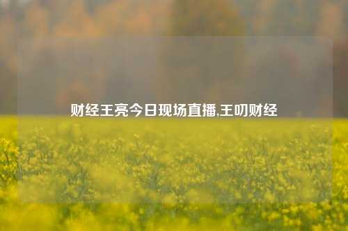 财经王亮今日现场直播,王叨财经