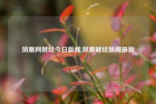 凤凰网财经今日新闻,凤凰财经新闻最新