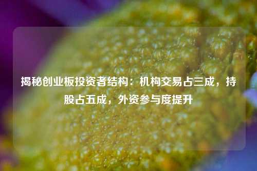 揭秘创业板投资者结构：机构交易占三成，持股占五成，外资参与度提升