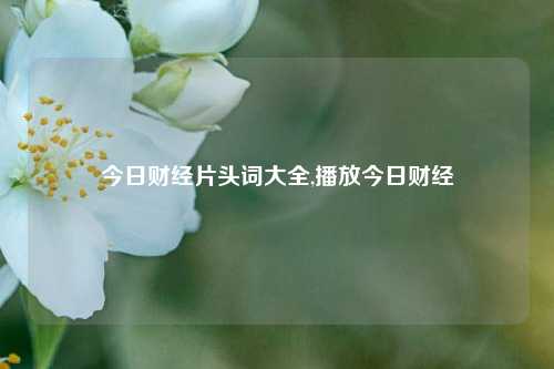 今日财经片头词大全,播放今日财经