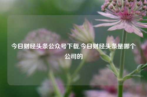 今日财经头条公众号下载,今日财经头条是哪个公司的