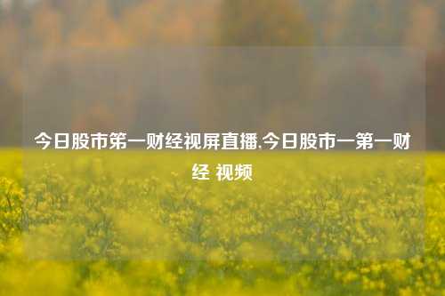 今日股市笫一财经视屏直播,今日股市一第一财经 视频