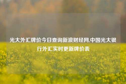 光大外汇牌价今日查询新浪财经网,中国光大银行外汇实时更新牌价表