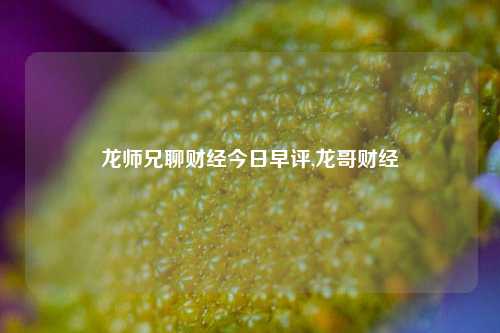 龙师兄聊财经今日早评,龙哥财经