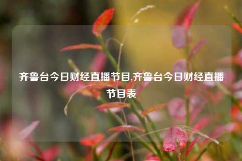 齐鲁台今日财经直播节目,齐鲁台今日财经直播节目表