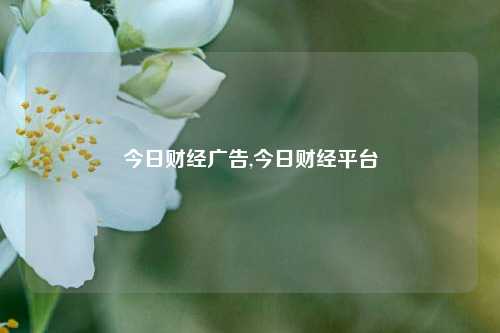 今日财经广告,今日财经平台