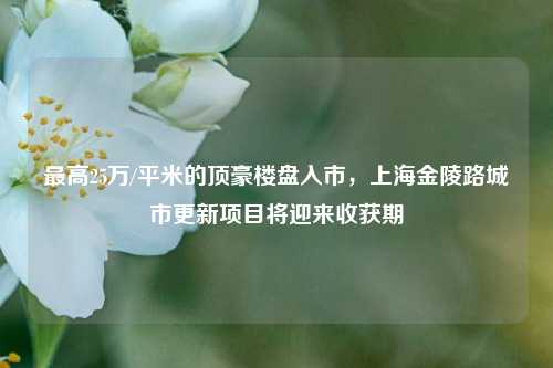 最高25万/平米的顶豪楼盘入市，上海金陵路城市更新项目将迎来收获期