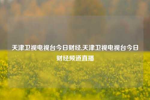 天津卫视电视台今日财经,天津卫视电视台今日财经频道直播