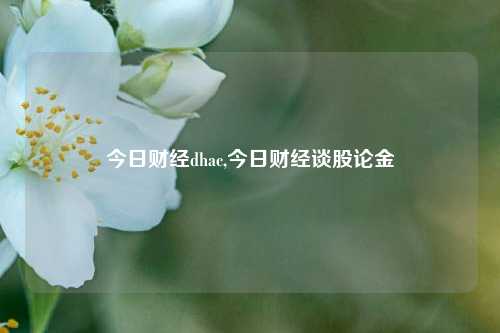 今日财经dhac,今日财经谈股论金