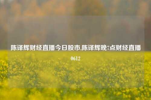 陈译辉财经直播今日股市,陈译辉晚7点财经直播0612