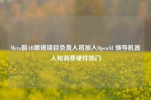 Meta前AR眼镜项目负责人将加入OpenAI 领导机器人和消费硬件部门