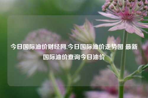 今日国际油价财经网,今日国际油价走势图 最新国际油价查询今日油价