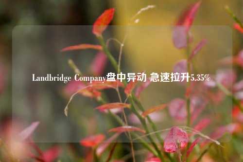 Landbridge Company盘中异动 急速拉升5.35%