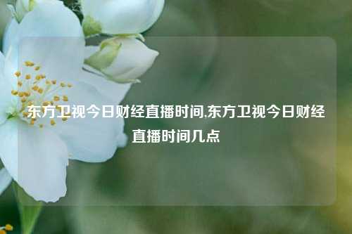 东方卫视今日财经直播时间,东方卫视今日财经直播时间几点