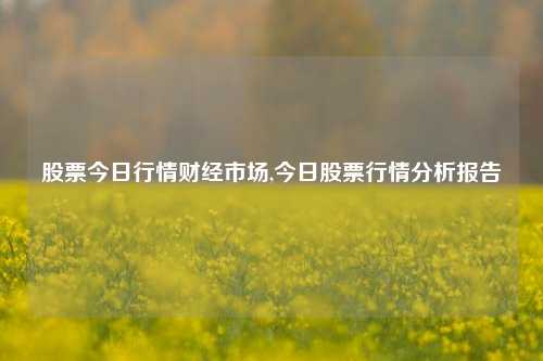 股票今日行情财经市场,今日股票行情分析报告