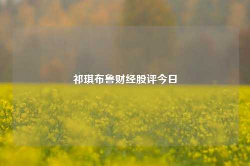 祁琪布鲁财经股评今日