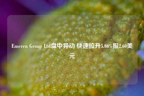 Emeren Group Ltd盘中异动 快速拉升5.06%报2.60美元