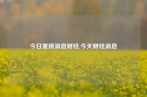 今日重磅消息财经,今天财经消息