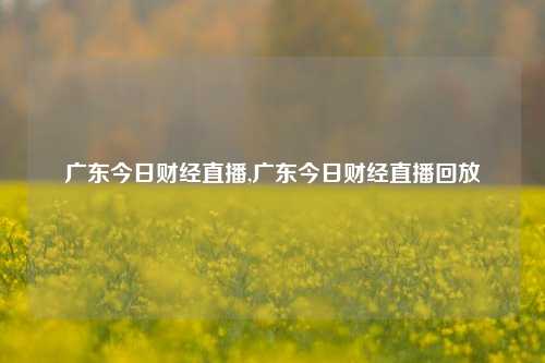 广东今日财经直播,广东今日财经直播回放