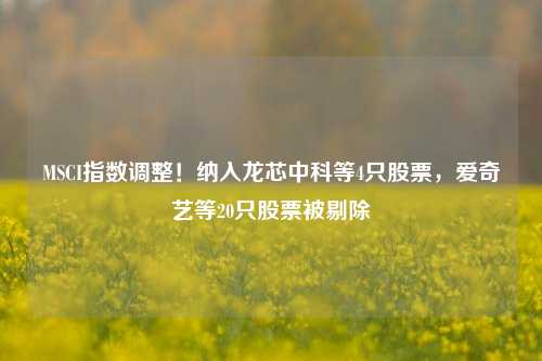 MSCI指数调整！纳入龙芯中科等4只股票，爱奇艺等20只股票被剔除